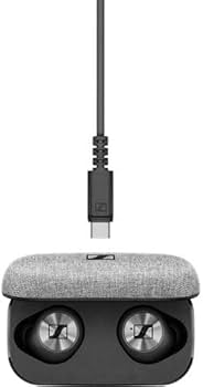 Amazon.com: Sennheiser Momentum True Wireless in-Ear Headphones